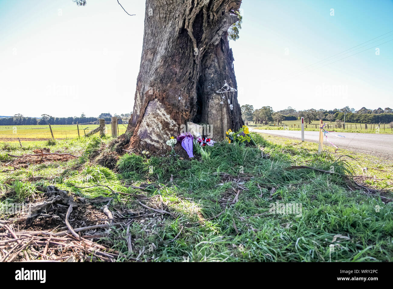 Bungaree, Victoria, Australia - 11 September 2019 - Tributes Flow in for AFL Footy legend Danny'Spud 'Frawley at the sceen of his crash. Mourners have left  tributes to the former AFL Player and Commentator at the sceen where he colided with a tree on Monday Afternoon(9th September 2019) near his beloved home town and family potato farm. Victoria Police on Tuesday announced the fatal crash was not being treated as suspicious.The AFL will pay tribute to Frawley with a moment of silence before each of this weekend’s semi-finals. Image Credit Brett Keating - Alamy Live News. Stock Photo