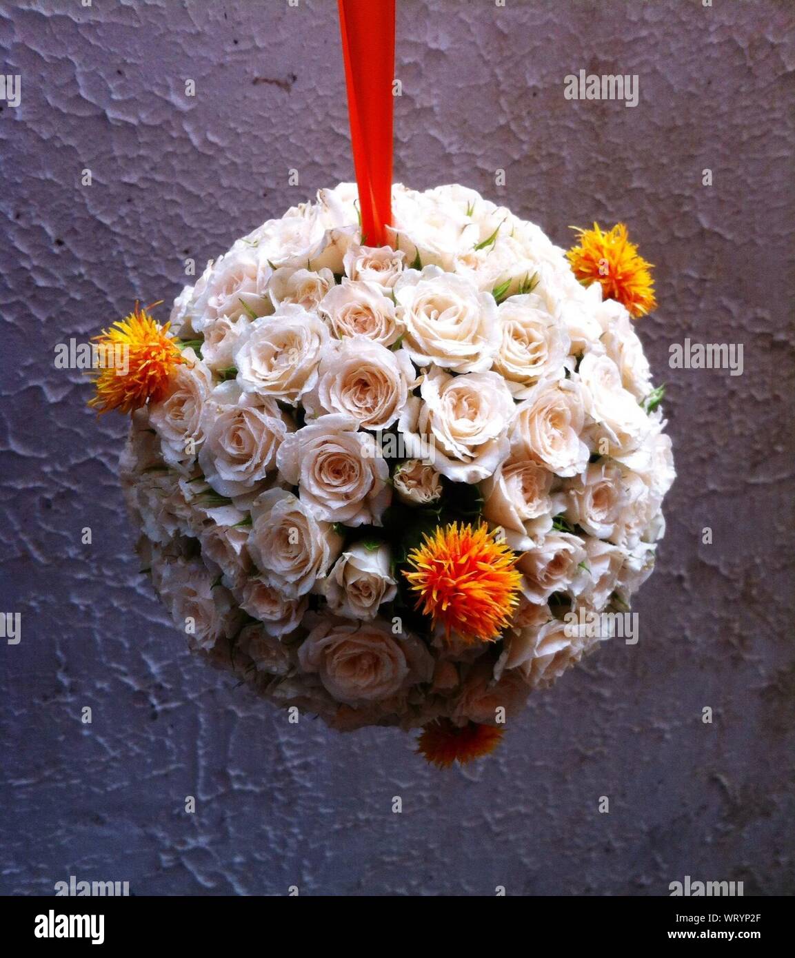 Hanging roses hires stock photography and images Alamy