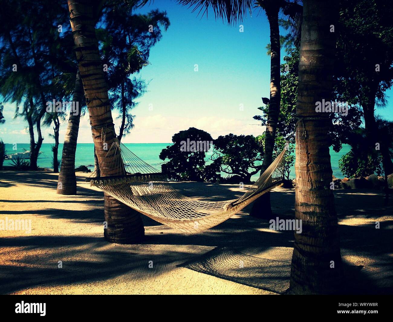 Hammock Between Palm Trees On Beach Stock Photo Alamy