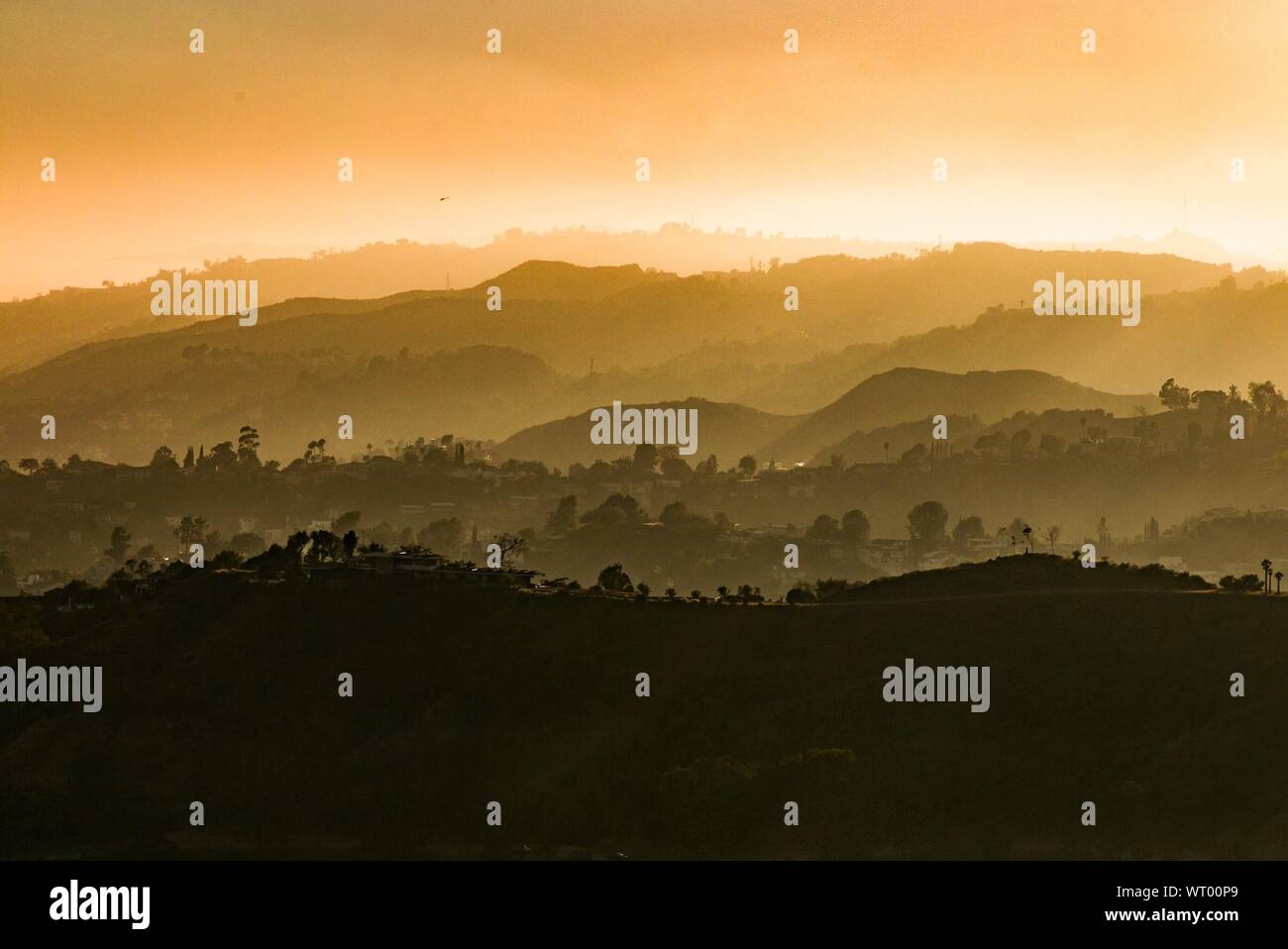 Scenic Shot Of Misty Landscape Stock Photo