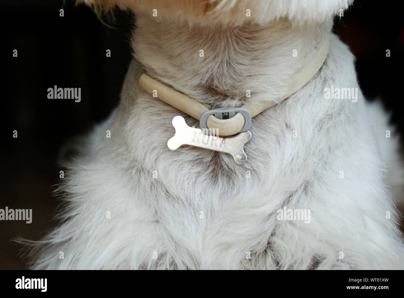 Collar Bone High Resolution Stock Photography and Images Alamy