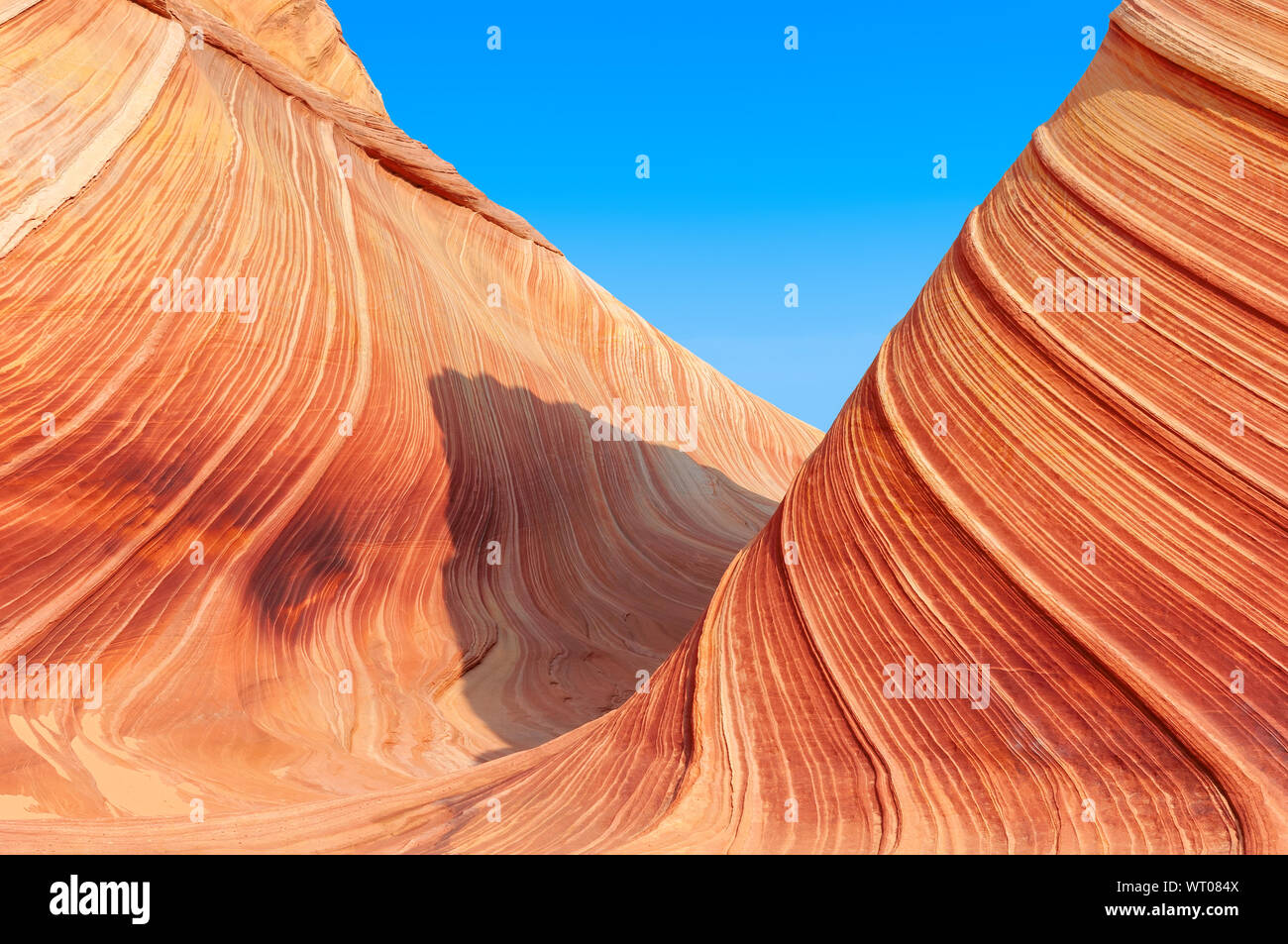 The Wave canyon,Arizona desert Stock Photo Alamy