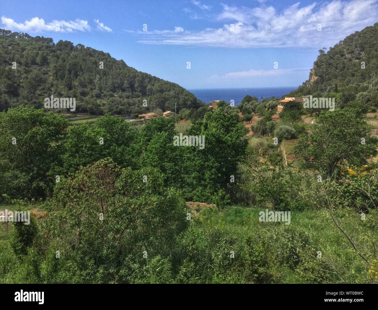 Wooded Valley Amid Hills Stock Photo
