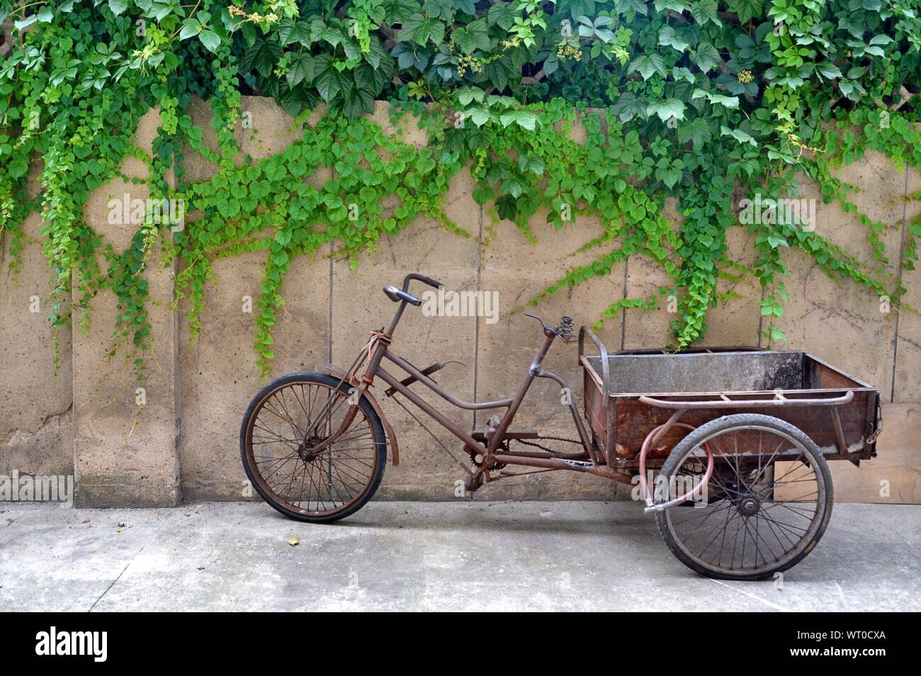 Old rusty tricycle hires stock photography and images Alamy