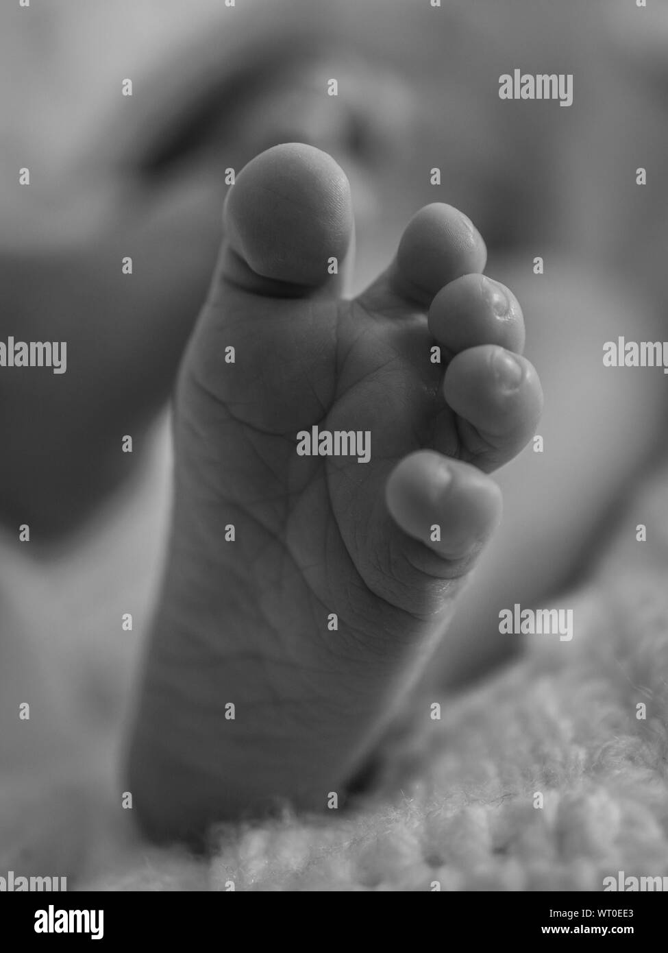 Baby feet Black and White Stock Photos & Images Alamy