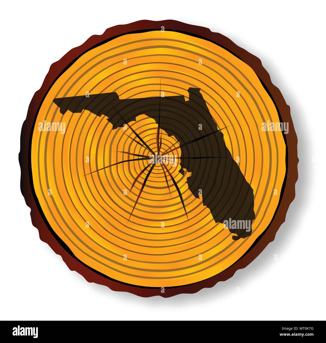 Florida Map On Timber Stock Vector