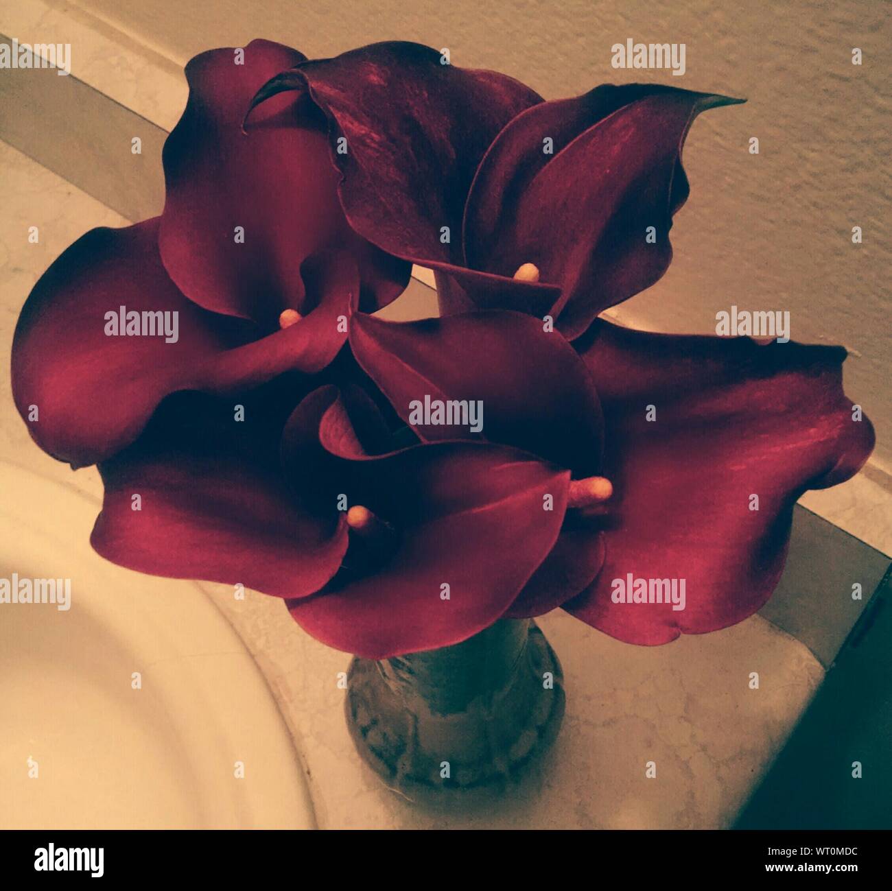 Lilies vase hires stock photography and images Alamy