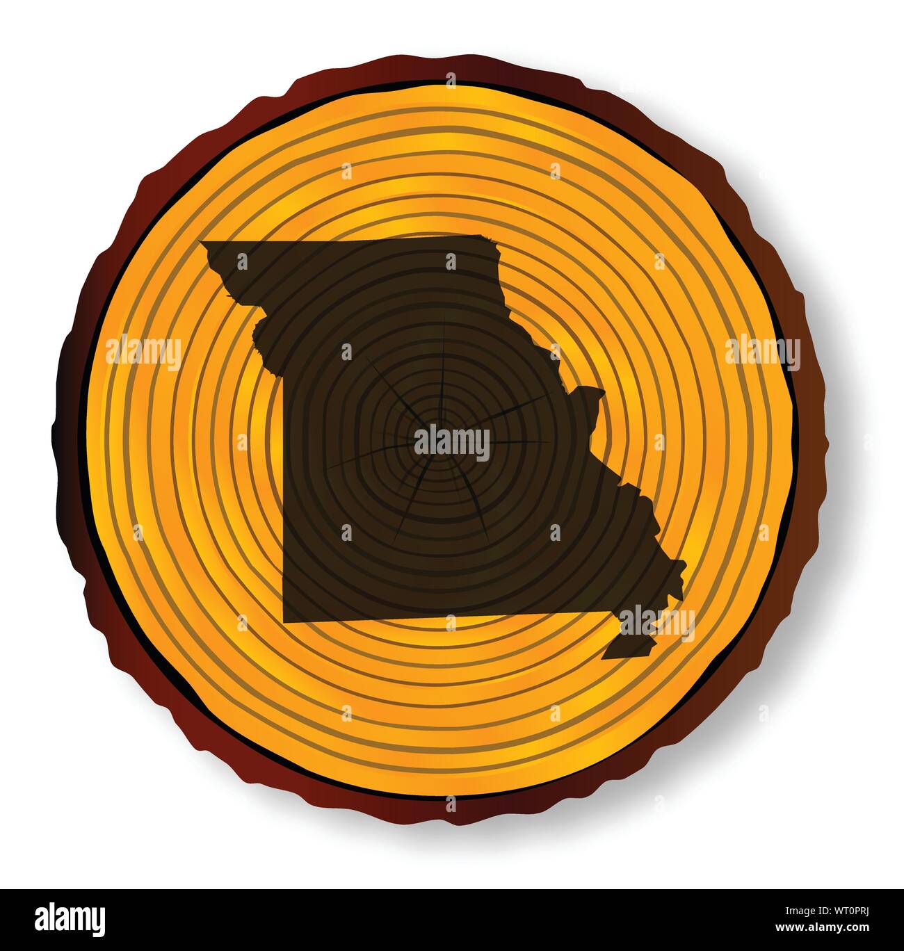 Missouri Map On Timber Stock Vector