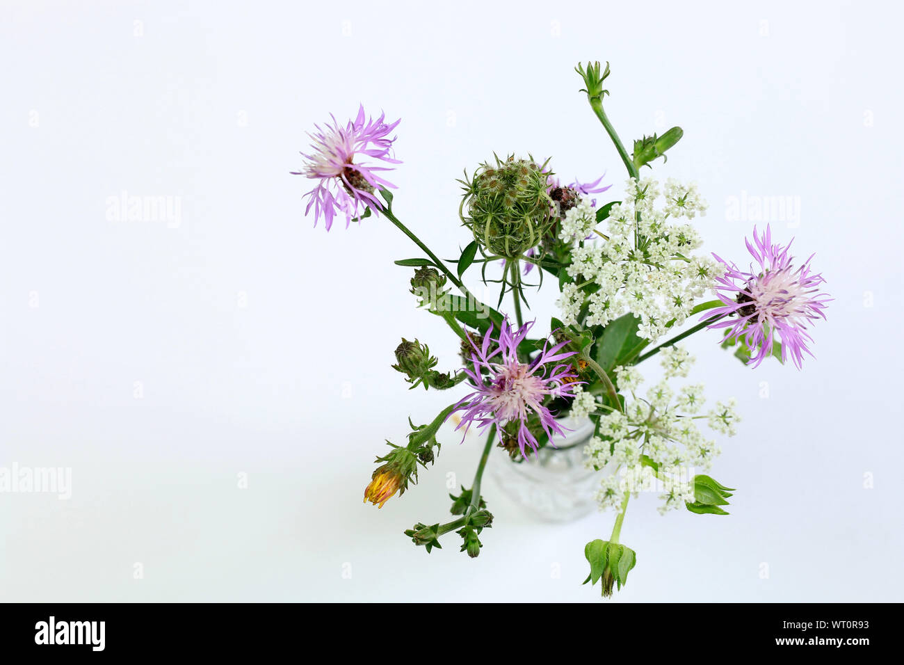 Beautiful bouquet of wild flowers, isolated on white background Stock ...