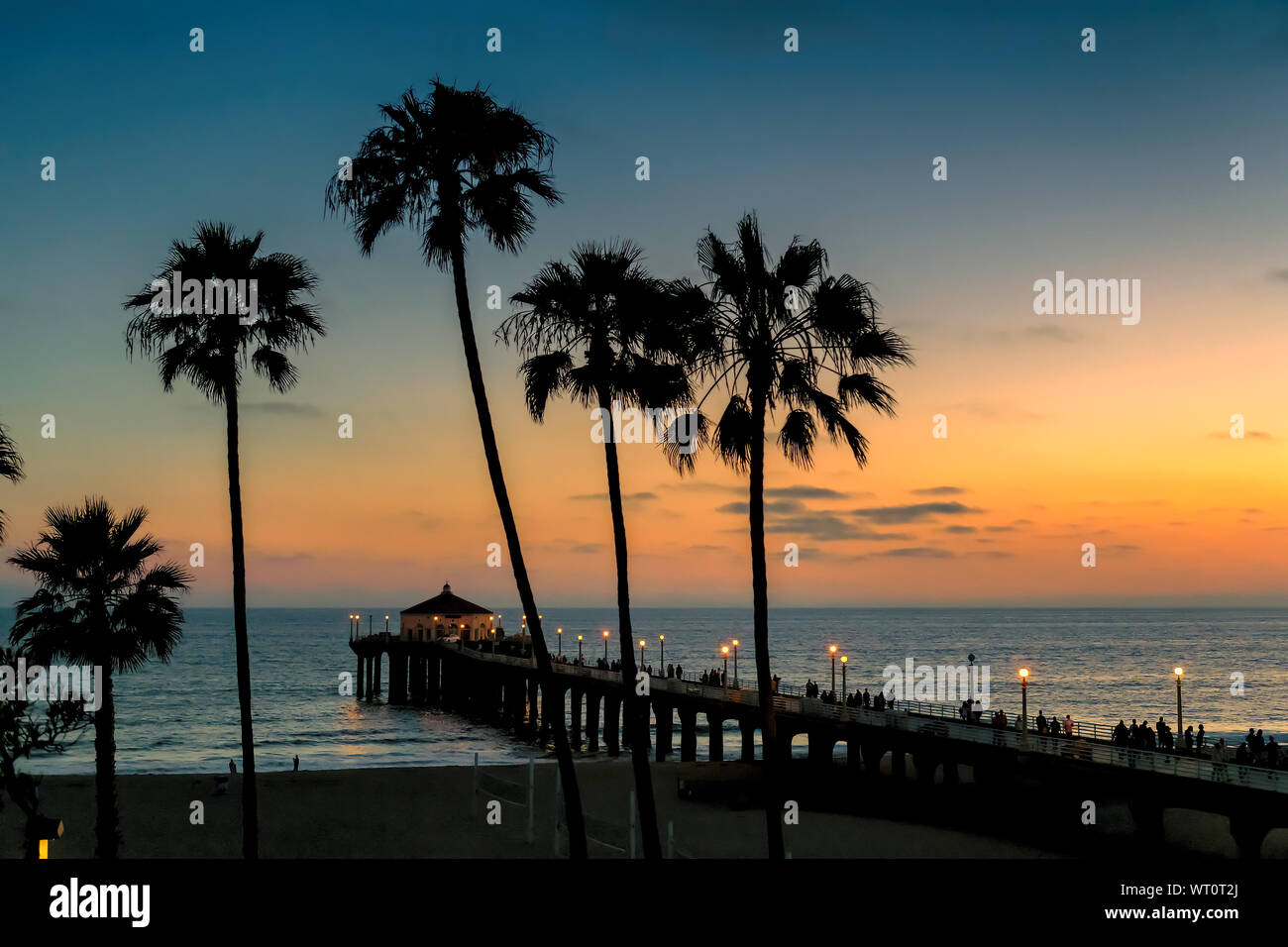 Palm trees at sunset on California beach Stock Photo