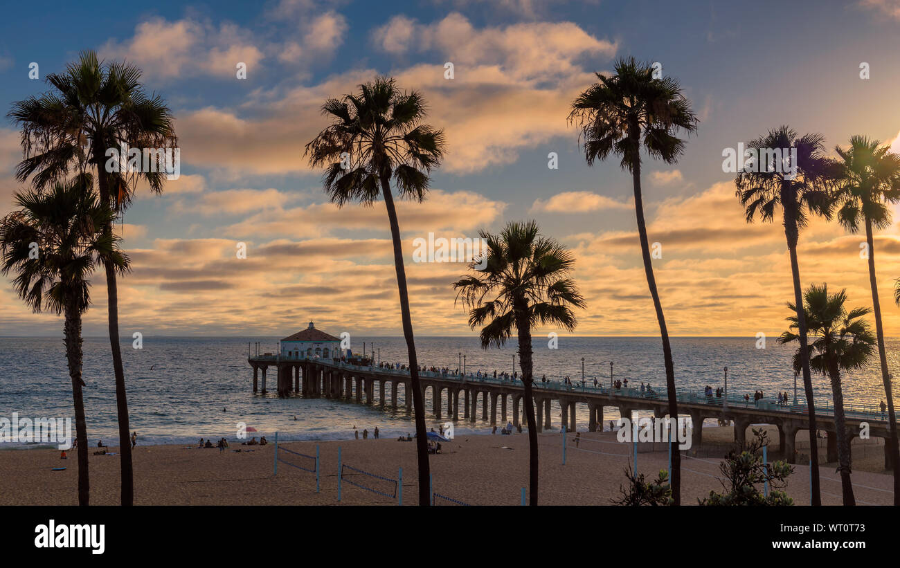 Palm trees at sunset on Manhattan beach, California Stock Photo