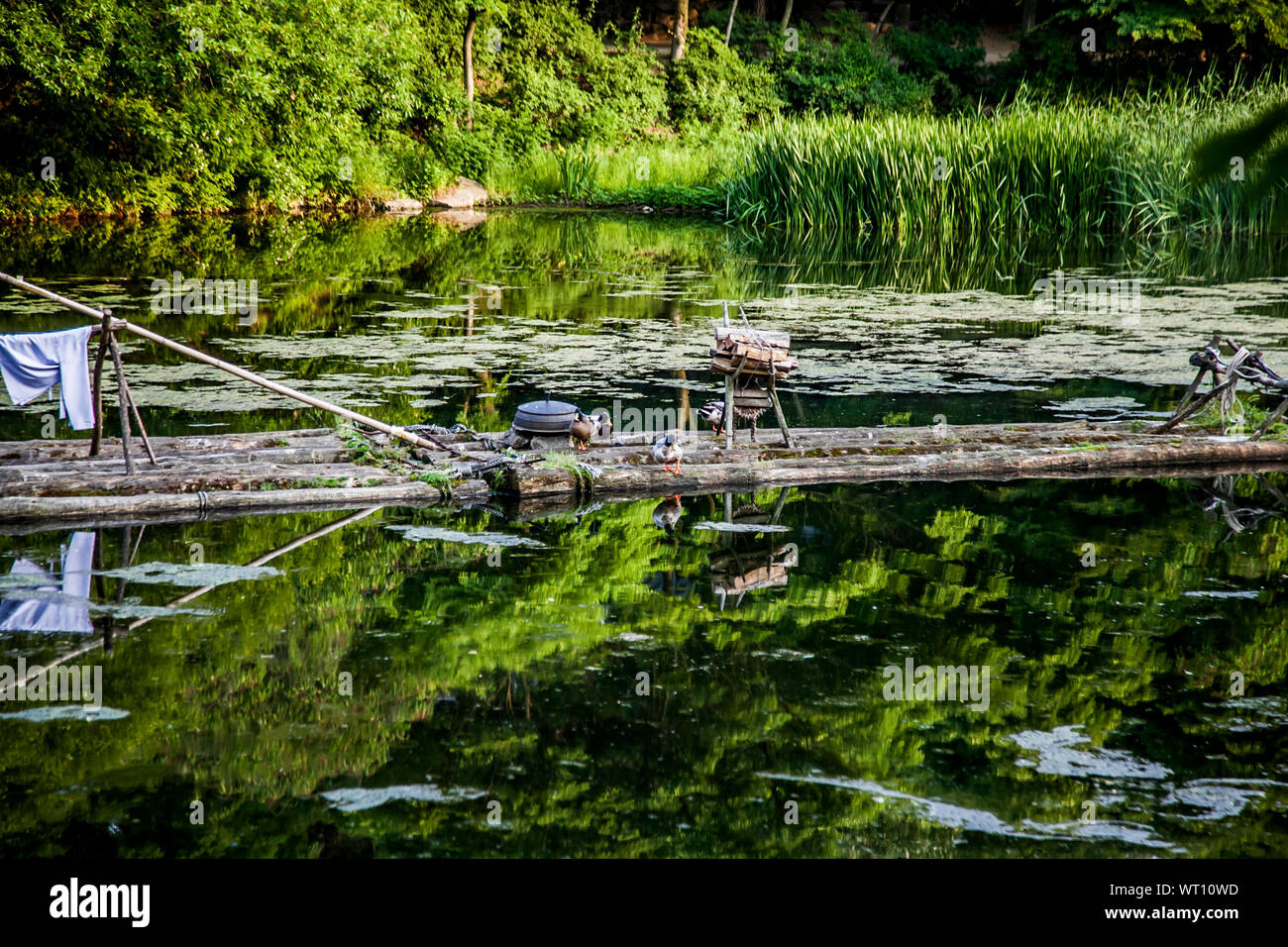 Wood logs floating on water hires stock photography and images Alamy