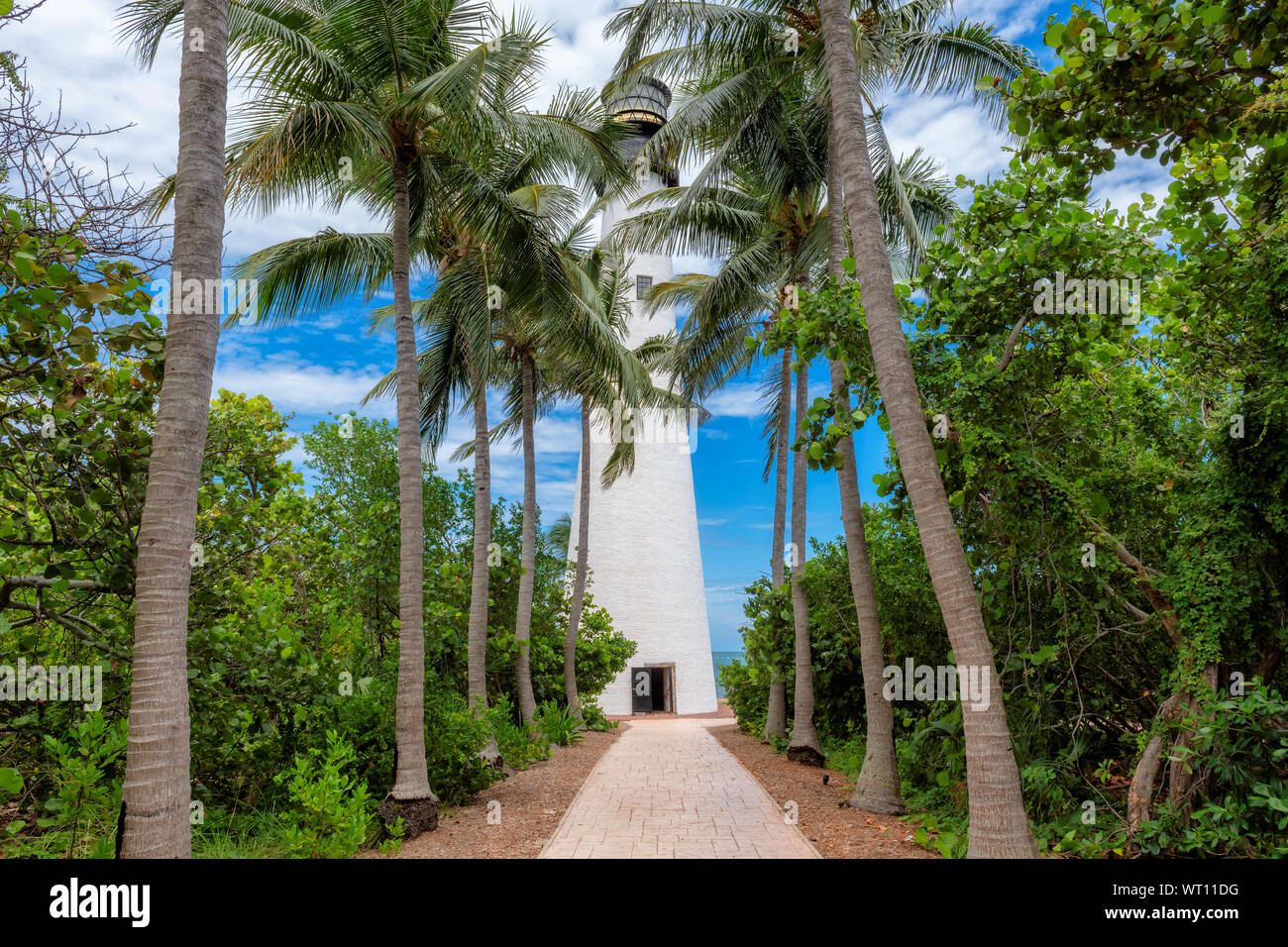 Cape Florida Lighthouse and palms around Stock Photo