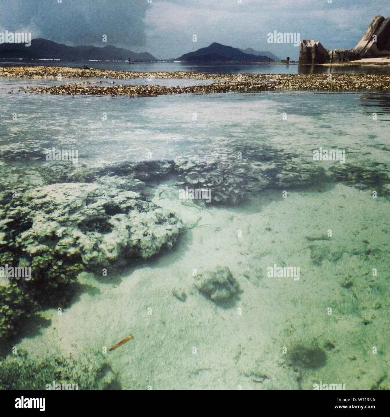 Shallow blue hi-res stock photography and images - Alamy