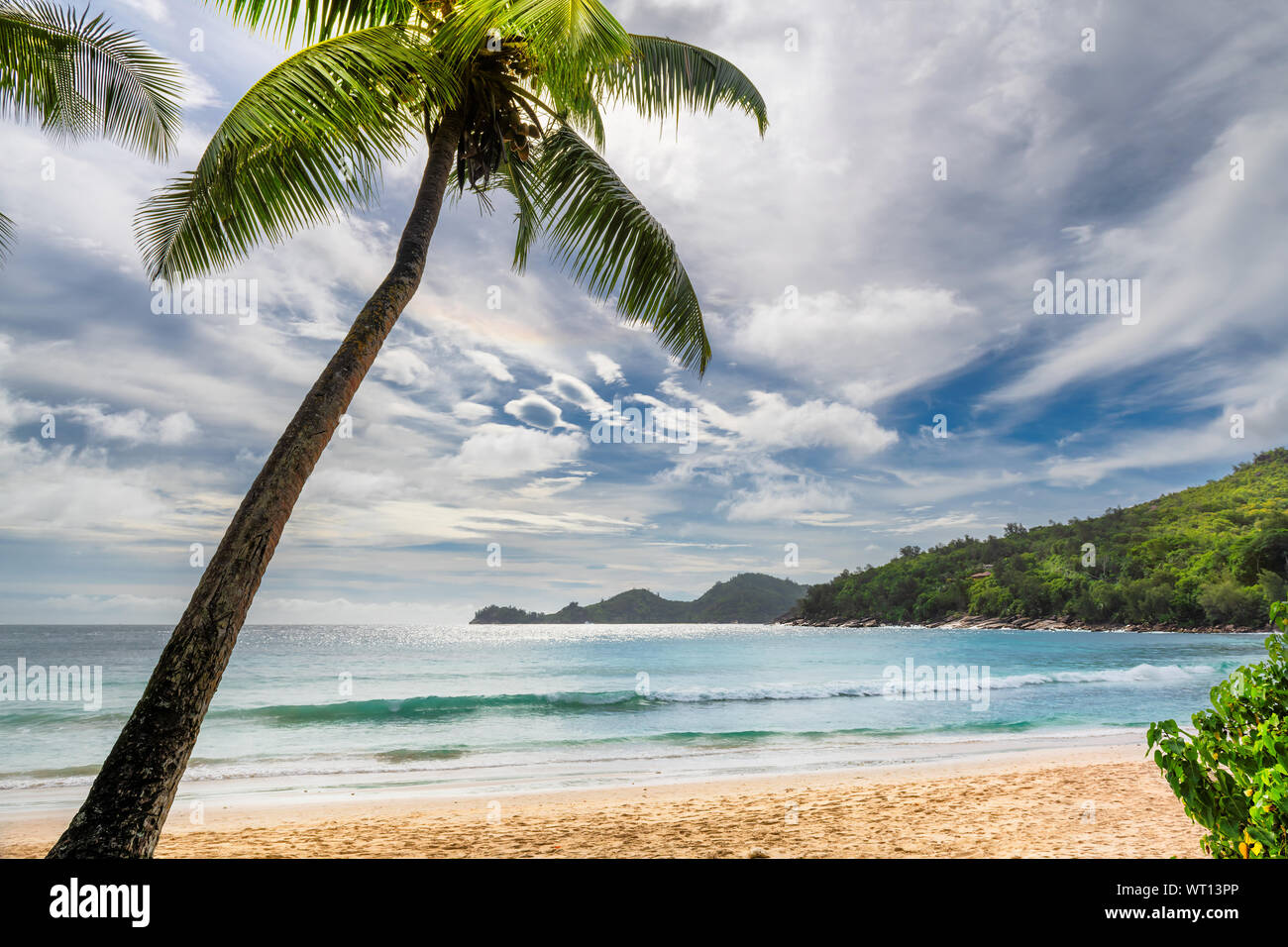 Palm trees on exotic beach at sunset in Paradise island. Stock Photo