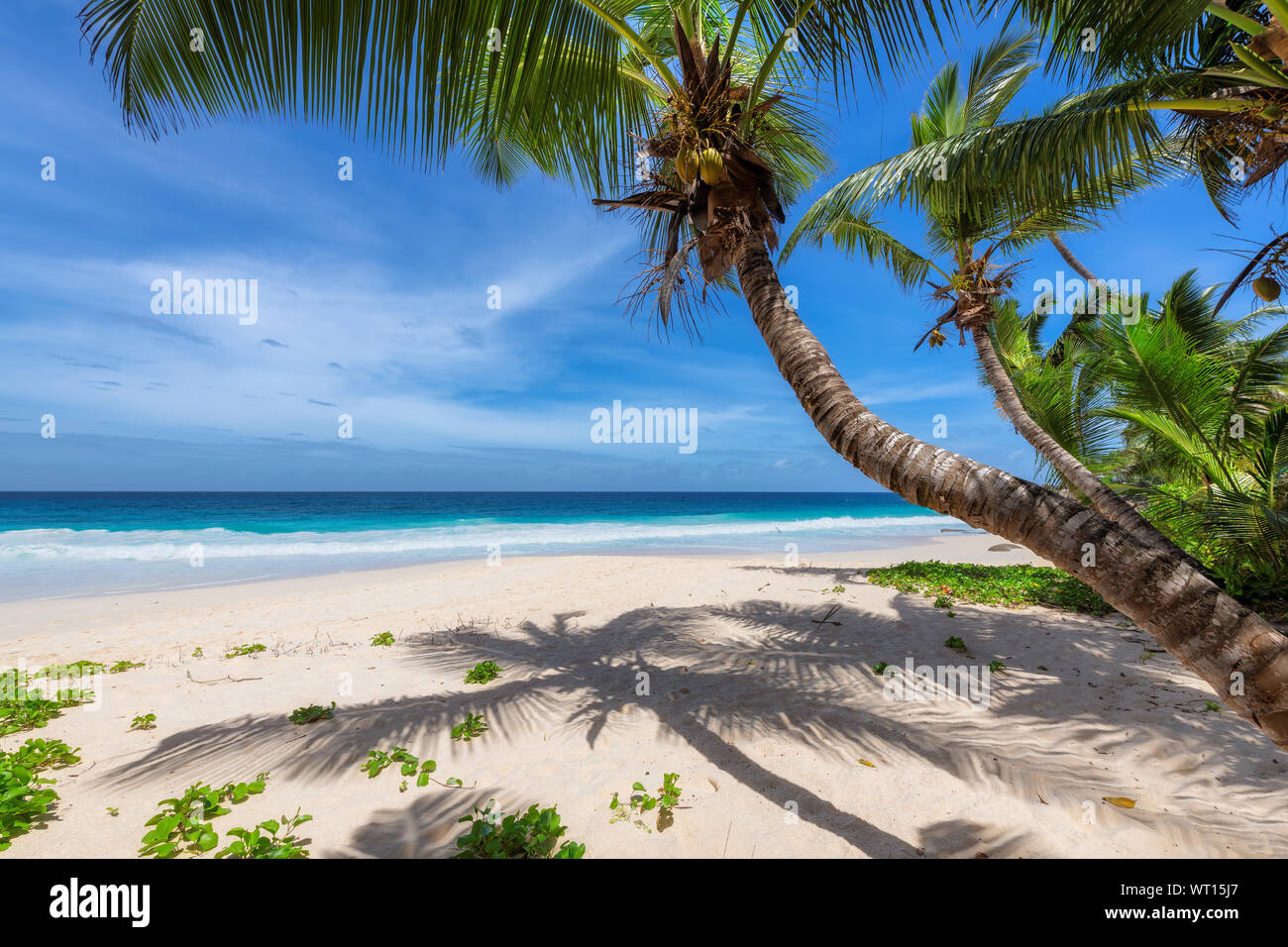 Exotic beach with white sand and tropical sea on Paradise island. Stock Photo