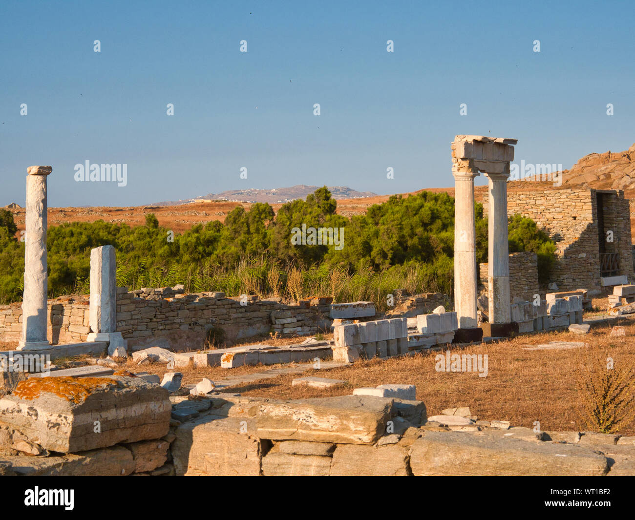 Abandoned stone ruins of antique building with columns withered grass and green trees on Delos Greece against blue sky background Stock Photo