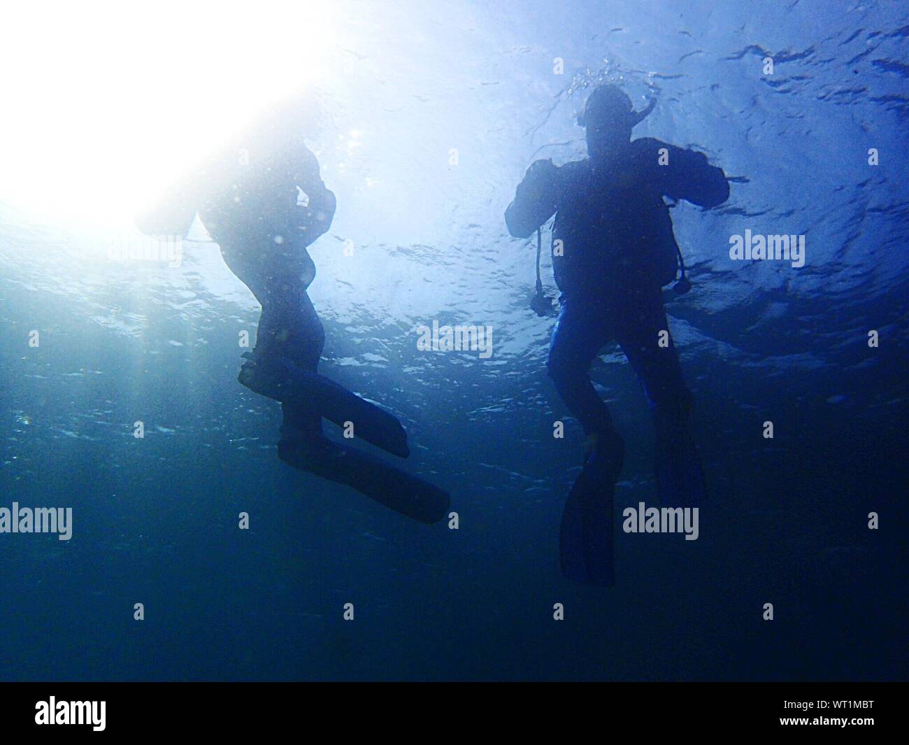 Silhouette scuba diver swimming in hi-res stock photography and images ...