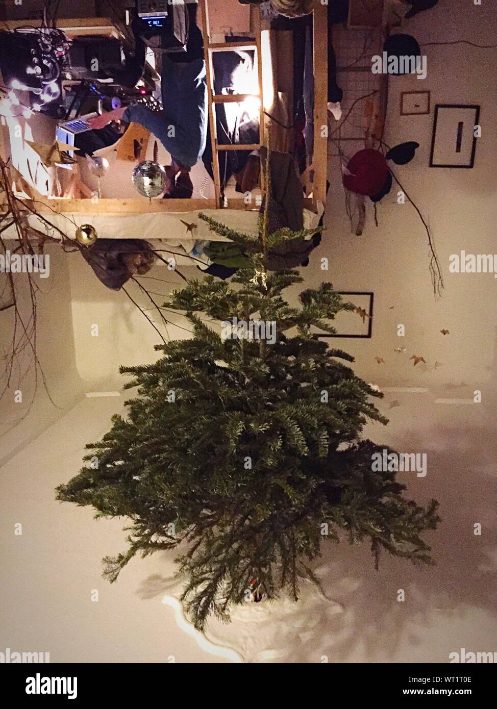 Christmas Tree Ceiling Ceiling Stock Photos Christmas Tree