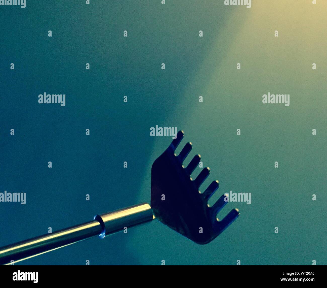 Back Scratcher Against Blue Wall Stock Photo Alamy