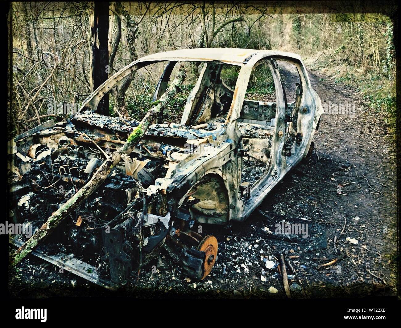 Deteriorating Burnt Car In Forest Stock Photo