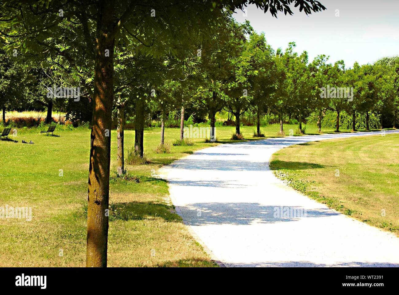 Curved path in lawn hires stock photography and images Alamy