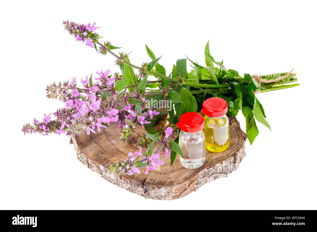 Pharmaceutical tincture, extract of wild herbs, medicinal flowers in