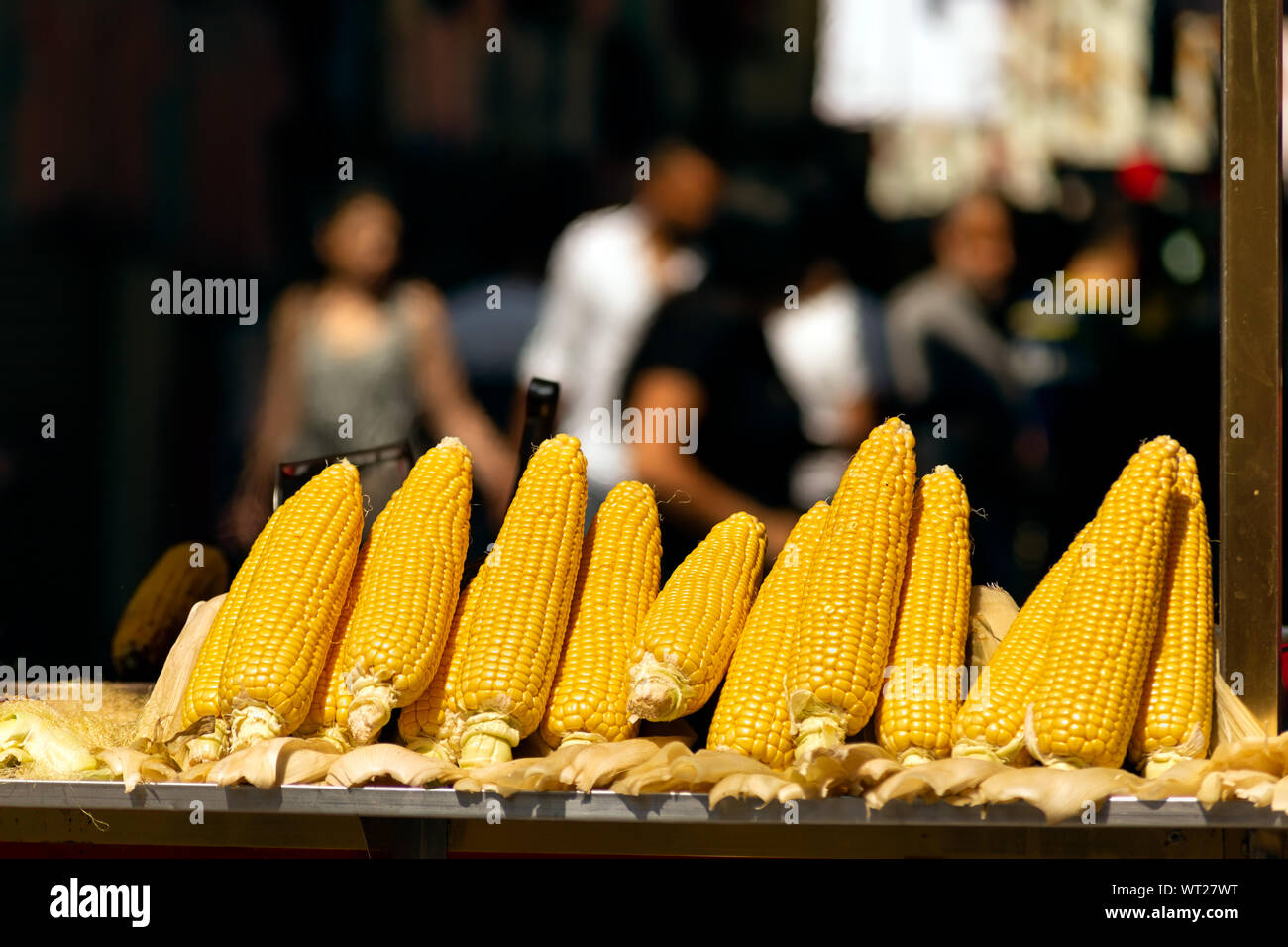 Raw corn on cobs and fire roasted corns displayed together on a street vendor cart bench. Stock Photo