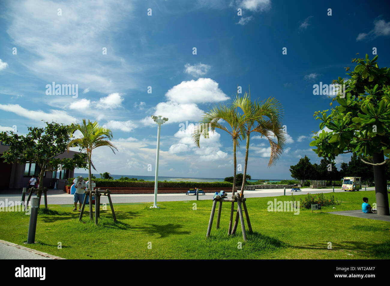 Sunny summer day on tropical hi-res stock photography and images - Alamy