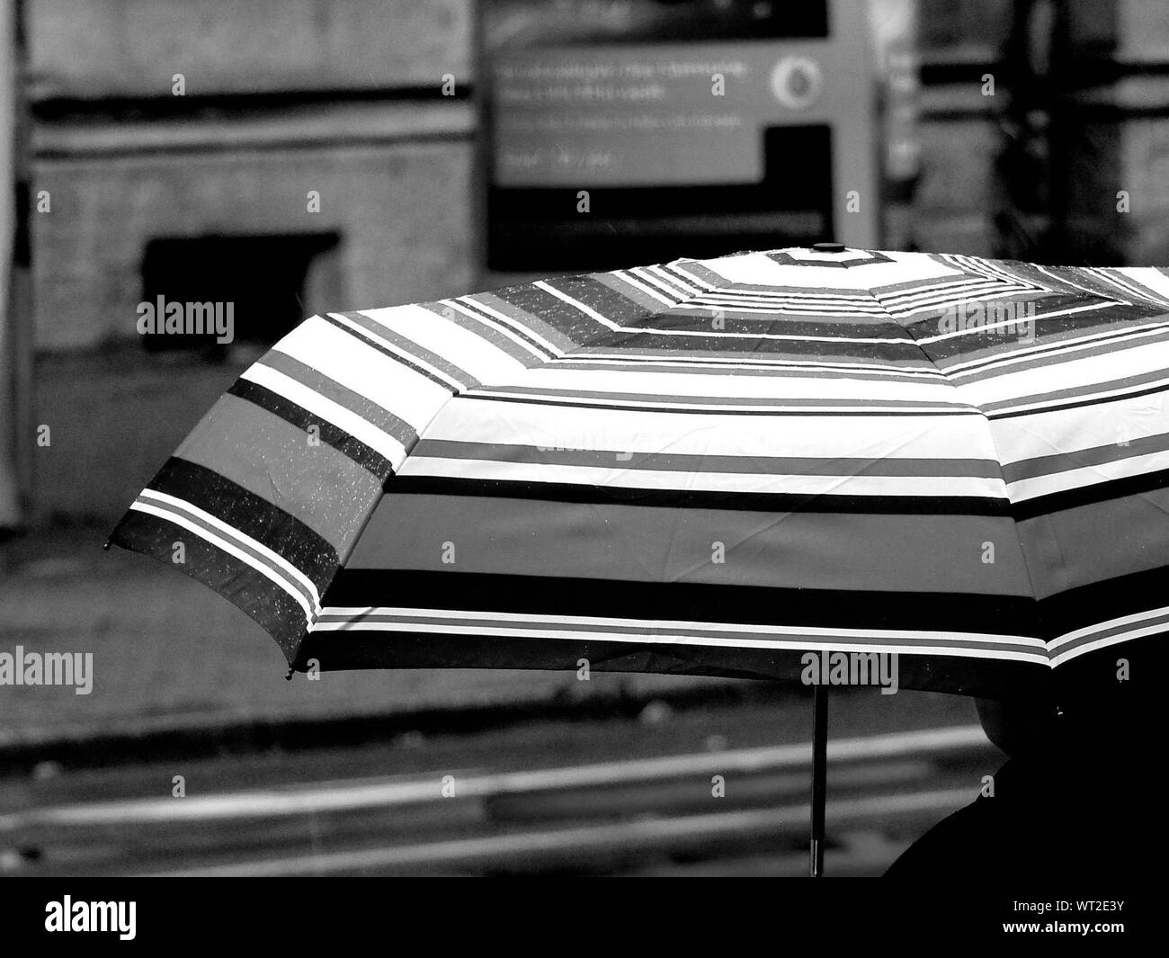 Umbrella rain Black and White Stock Photos & Images Alamy