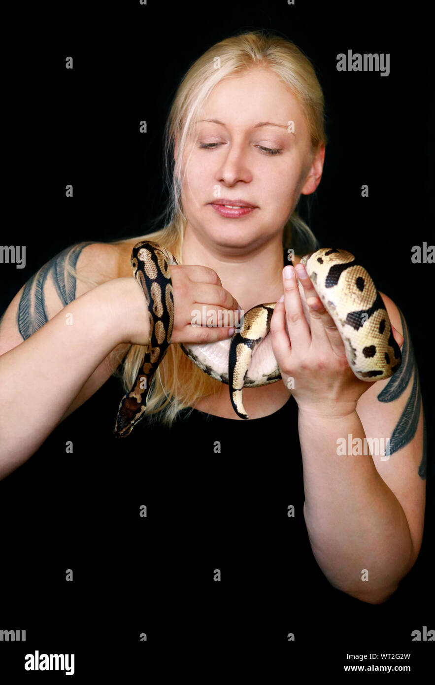 Portrait of girl with Royal Python snake. Beautiful woman holds snake ...