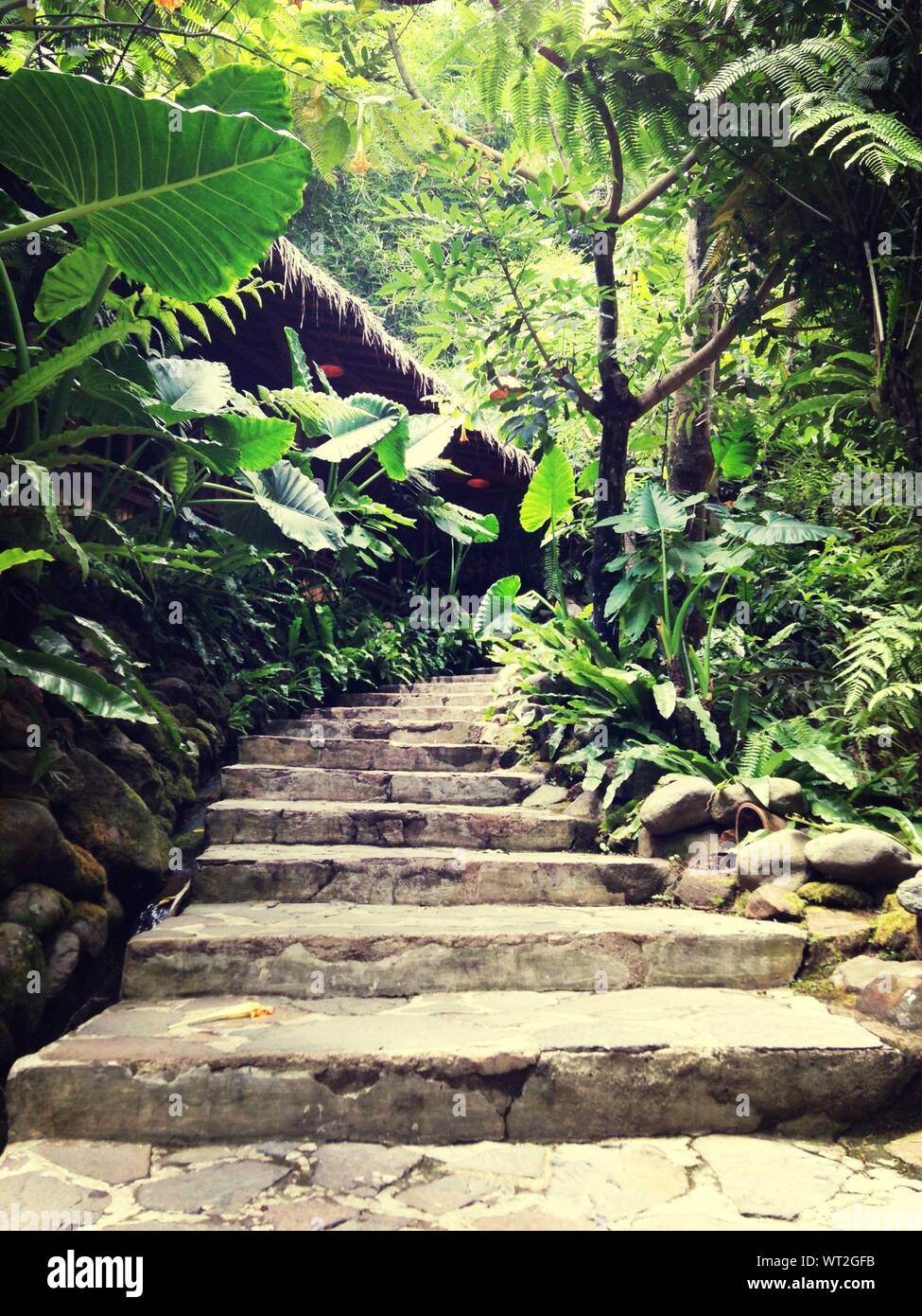 Outdoor steps hi-res stock photography and images - Alamy