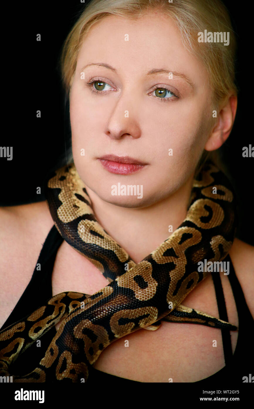 Portrait of girl with Royal Python snake. Woman holds Ball Python snake ...