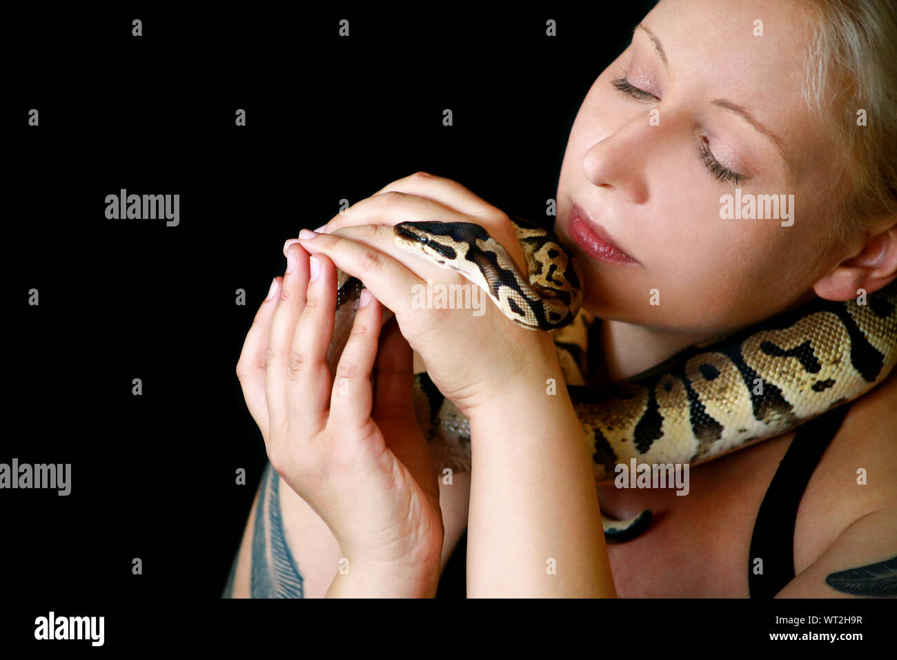 Portrait of girl with Royal Python snake. Woman holds Ball Python snake around neck and in hands, posing in front the camera. Stock Photo