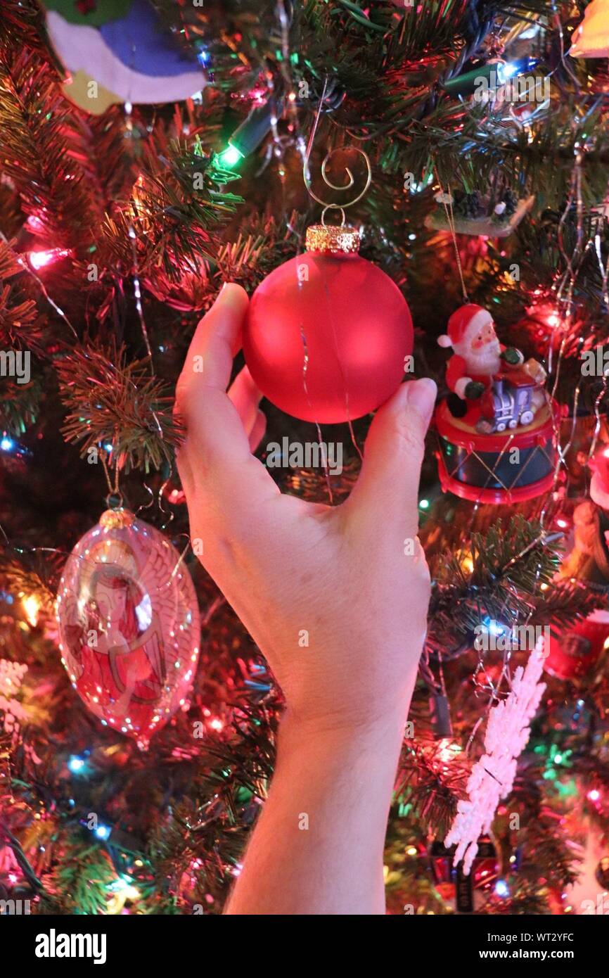 Cropped Hand Of Person Holding Bauble Hanging On Christmas Tree At Home Stock Photo Alamy