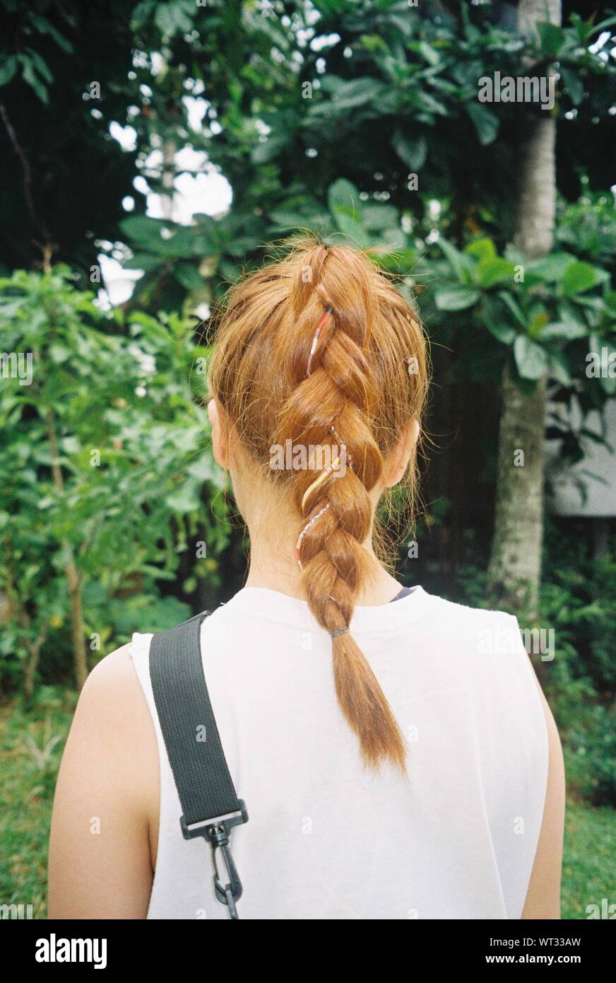Rear View Of Woman In Braided Hair Stock Photo