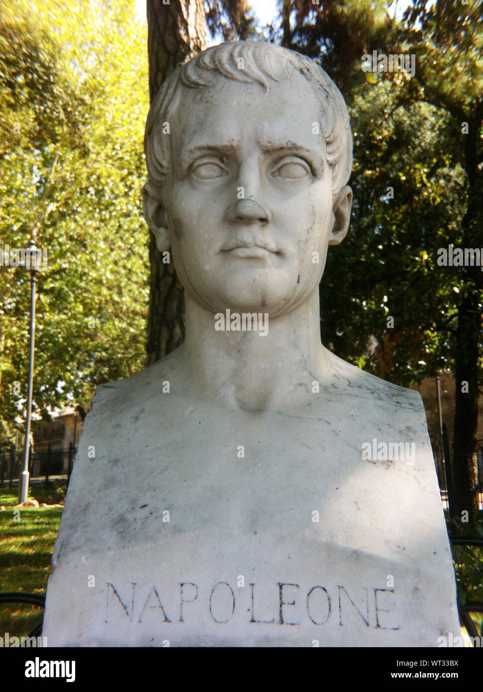 Close-up Of Napoleon Statue Against Trees Stock Photo