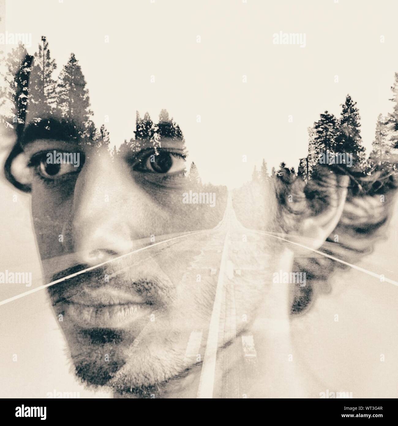 Double Exposure Man Tree High Resolution Stock Photography and Images ...