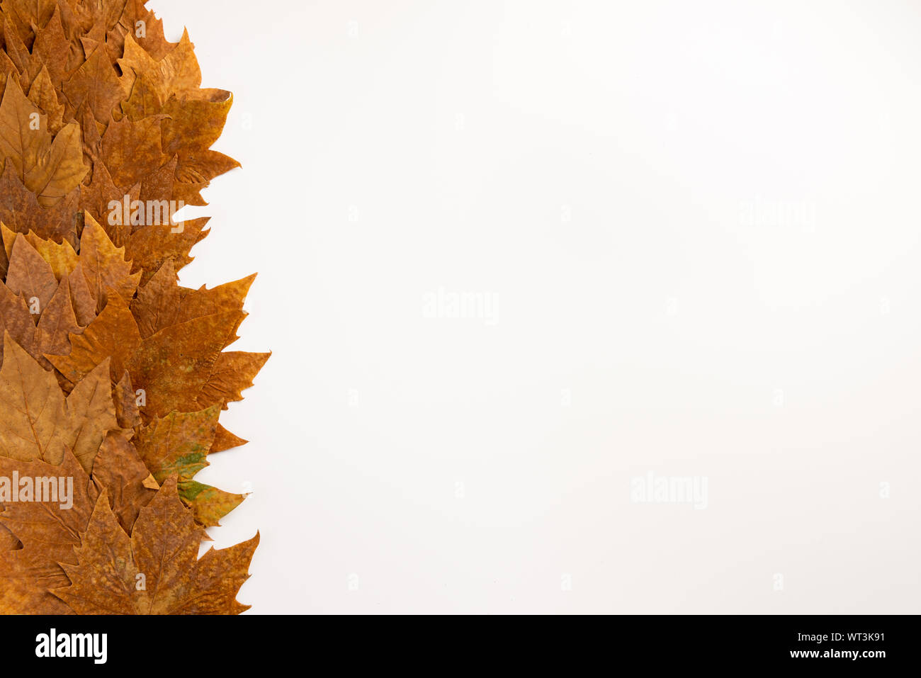 autumn maple leaves frame background with copy space for text Stock ...
