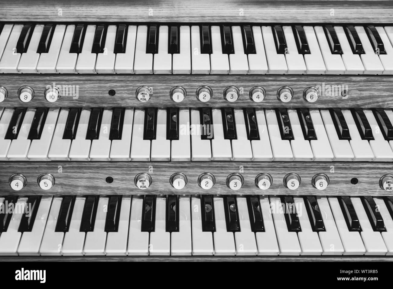 Accordion Black and White Stock Photos & Images Alamy