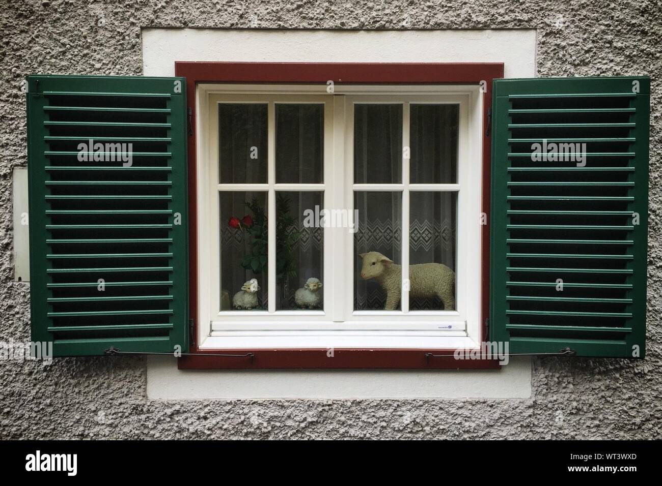 Animal Toys On House Window Seen From Outdoor Stock Photo