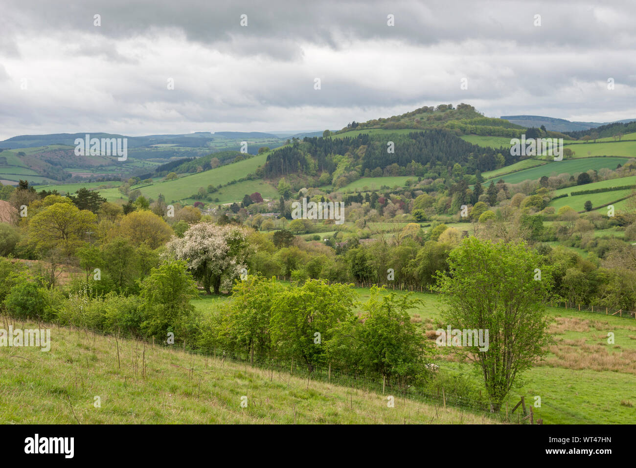 Spring day at Hopesay hill near Craven Arms in the SHropshire hills, England. Stock Photo