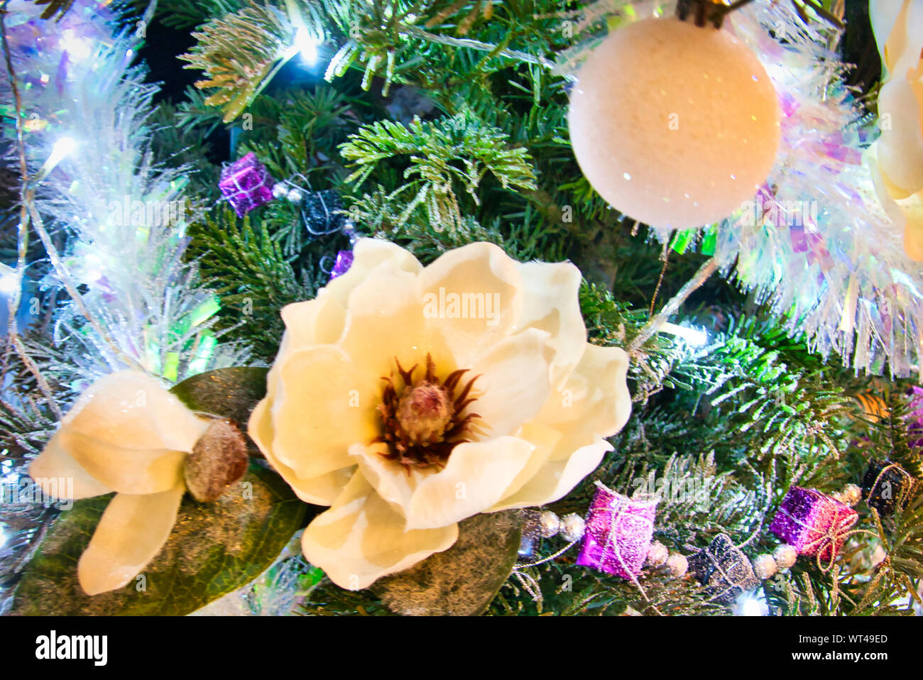 Christmas tree with red purple and white toys and flowers in the interior. Traditional christmas tree in France Stock Photo