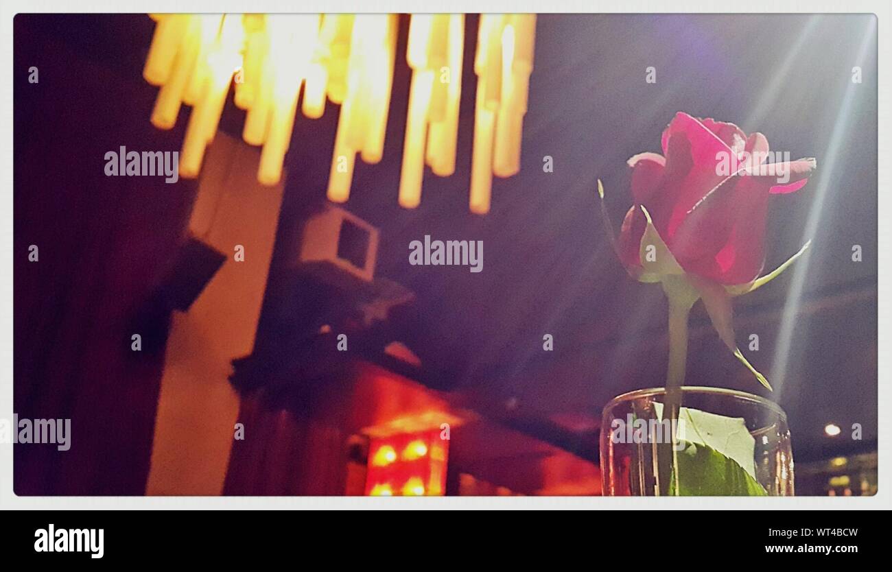 Red Rose In Glass Stock Photo - Alamy