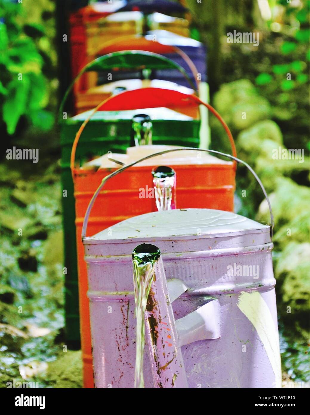 Watering can decoration hires stock photography and images Alamy