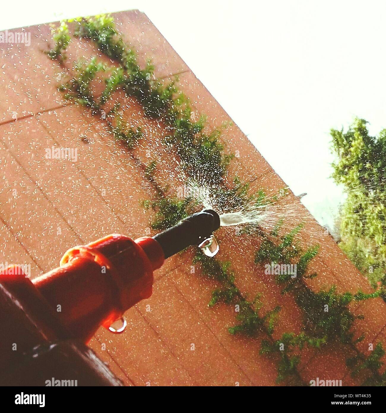 The tilt yard hires stock photography and images Alamy