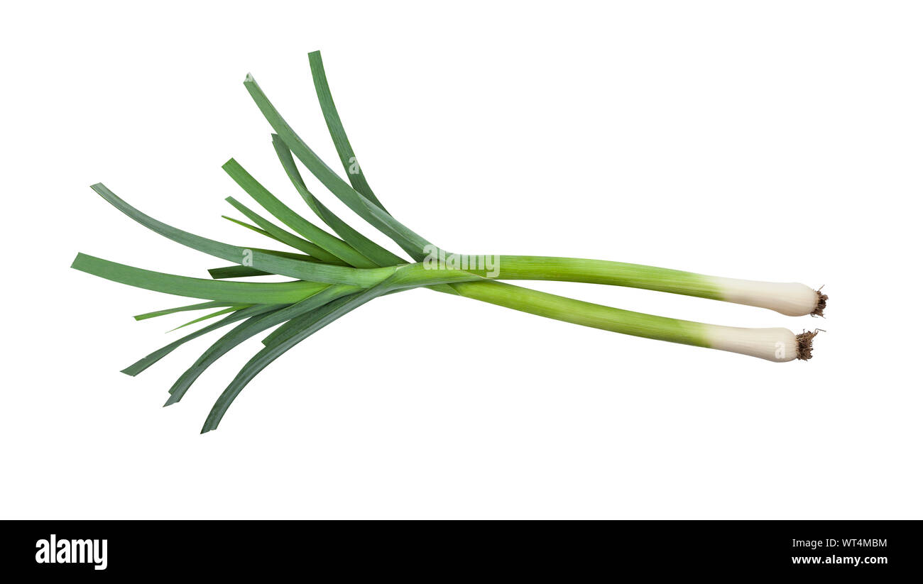 Fresh green leak isolated on white background. With clipping path Stock Photo - Alamy