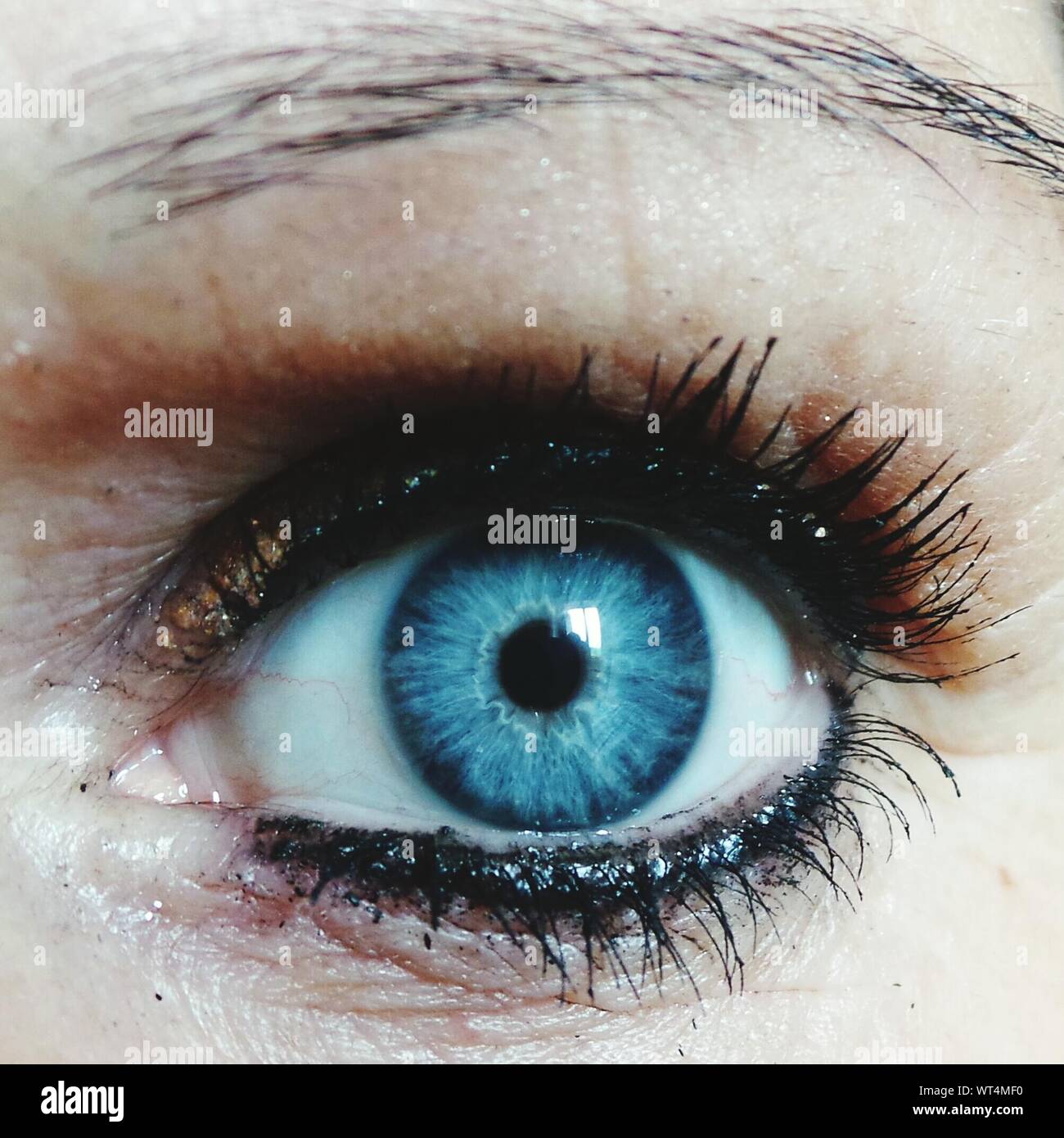 Iris close up human hi-res stock photography and images - Alamy