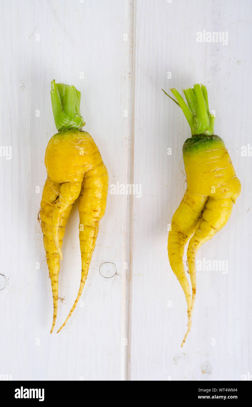Ugly shaped vegetables, food. Deformed  fresh organic carrots. Misshapen produce. Studio Photo Stock Photo