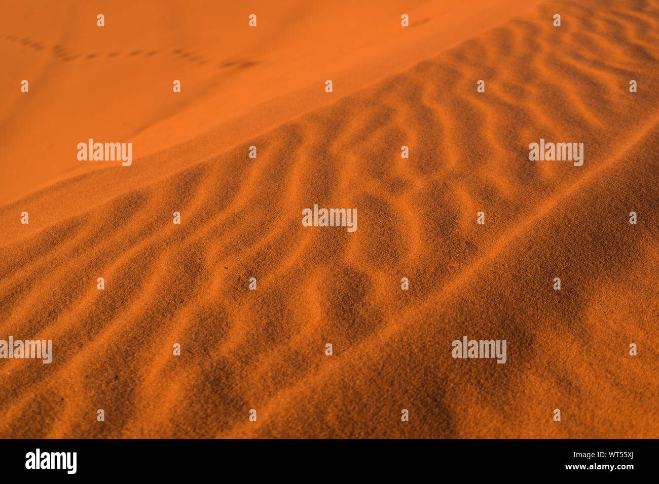 Sand texture in Gold desert at sunset time Stock Photo